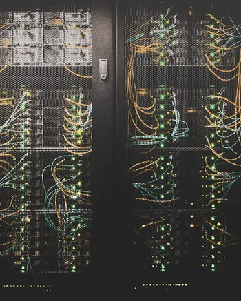 Information Technology Network Services